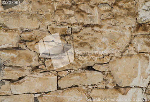 Image of Aged shell rock Stone wall texture or background