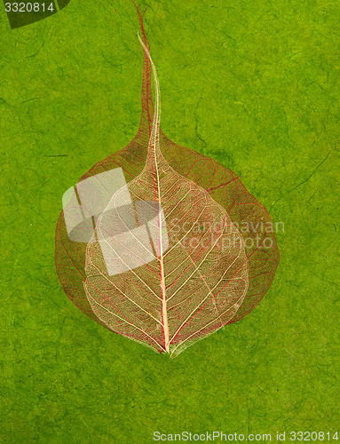 Image of Green handmade asian paper with leaves