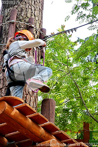 Image of adventure rope park