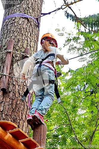 Image of adventure rope park