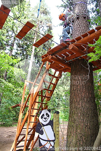 Image of adventure rope park