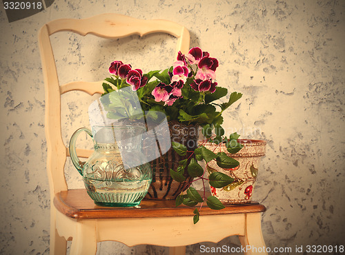 Image of Still Life with pelargonium and fuchsia