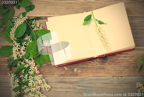 Image of Blossoming bird-cherry and vintage open book