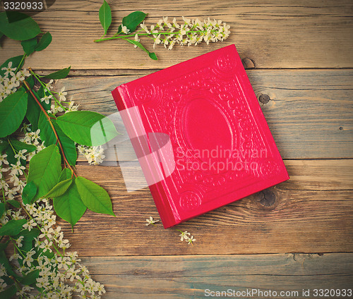 Image of Blossoming bird-cherry and vintage album
