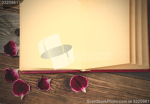 Image of open book with geranium petals