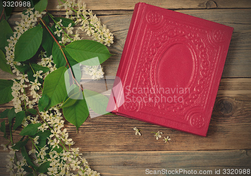 Image of Blossoming bird-cherry and vintage book