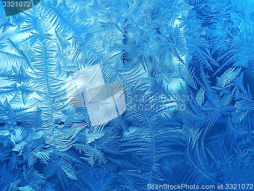 Image of Ice pattern on winter glass