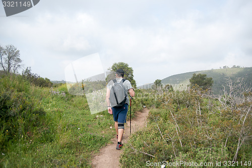 Image of Hiking in nature trail