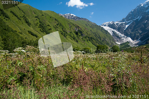 Image of Georgia mountain