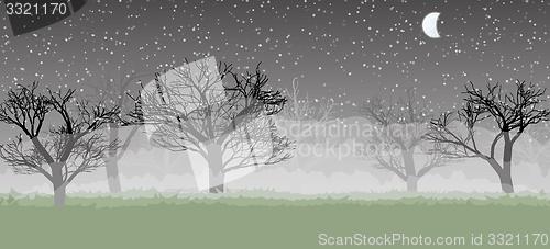 Image of forest in the dark mist, trees silhouettes