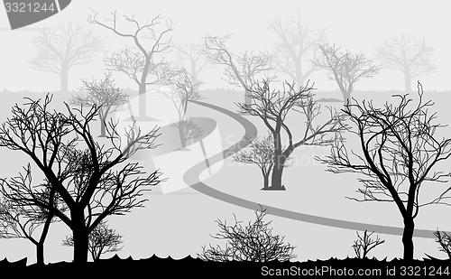 Image of forest in the dark and road, trees silhouettes
