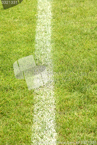 Image of White stripe on the green soccer field from top view