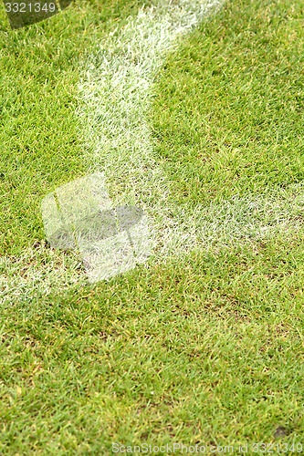 Image of White stripe on the green soccer field from top view