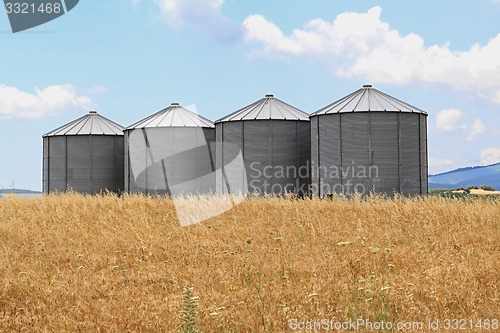 Image of Wheat Silos