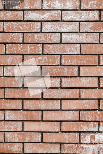 Image of Red Brick Wall