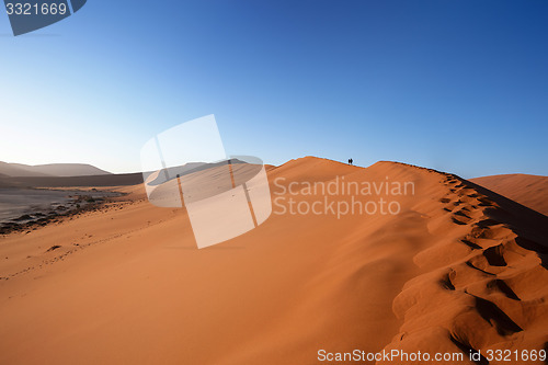 Image of dune in Hidden Vlei in Namib desert 