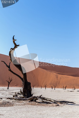 Image of beautiful landscape of Hidden Vlei in Namib desert 