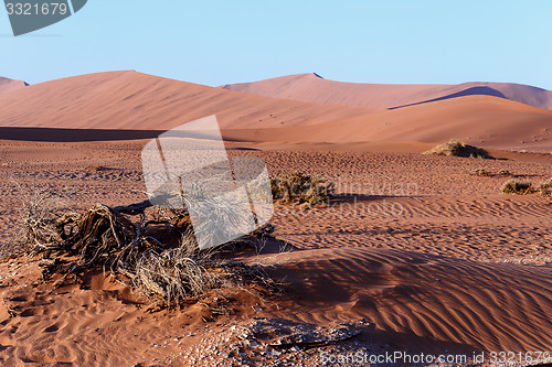 Image of beautiful landscape of Hidden Vlei in Namib desert 