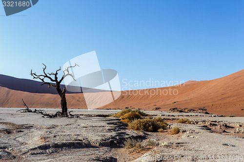 Image of beautiful landscape of Hidden Vlei in Namib desert 