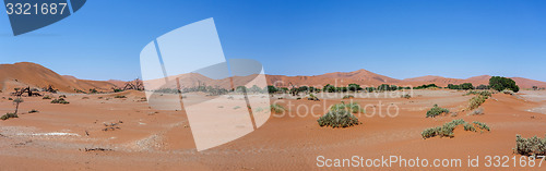 Image of beautiful landscape of Hidden Vlei in Namib desert panorama