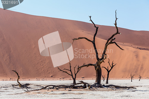 Image of beautiful landscape of Hidden Vlei in Namib desert 