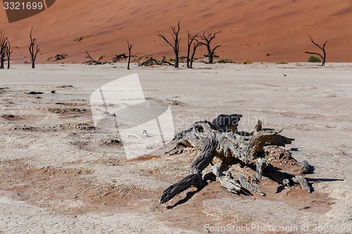 Image of beautiful landscape of Hidden Vlei in Namib desert 