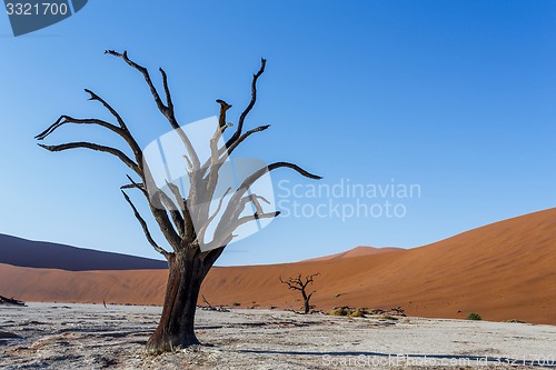 Image of beautiful landscape of Hidden Vlei in Namib desert 