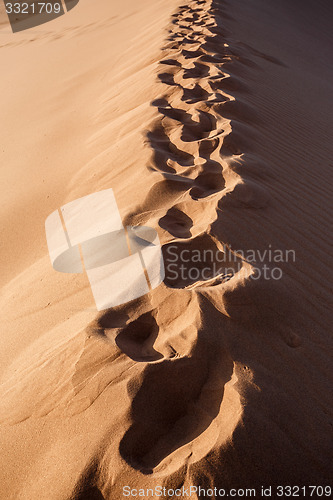 Image of human footprints on dune in Hidden Vlei in Namib desert 