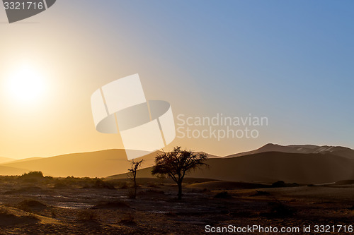 Image of beautiful landscape of Hidden Vlei in Namib desert 