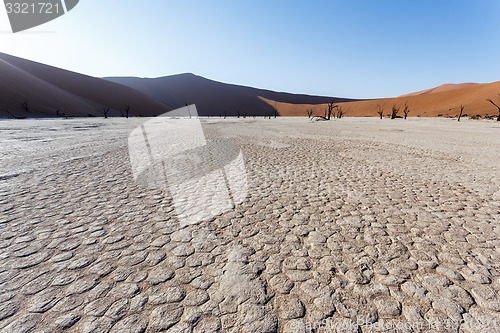 Image of beautiful landscape of Hidden Vlei in Namib desert 