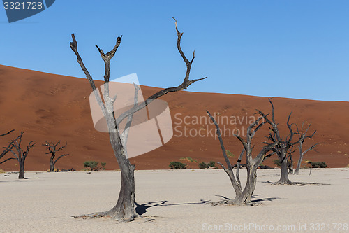 Image of beautiful landscape of Hidden Vlei in Namib desert 