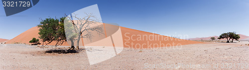 Image of wide panorama Dune 45 in sossusvlei Namibia