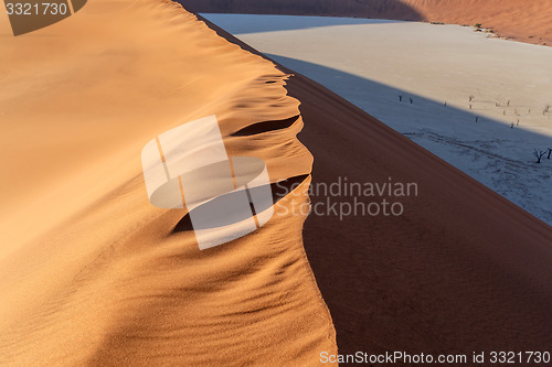 Image of dune in Hidden Vlei in Namib desert 