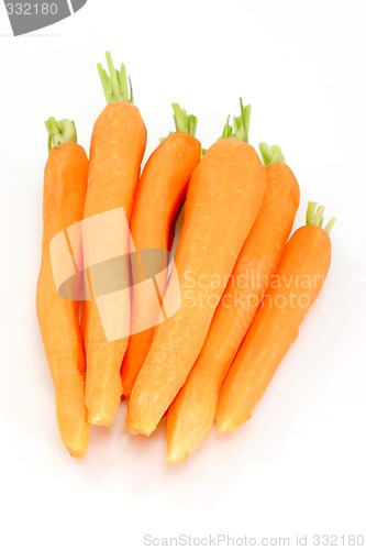 Image of Fresh carrots