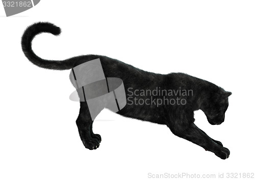 Image of Black Panther