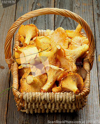 Image of Raw Chanterelles