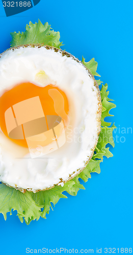 Image of Fried Egg