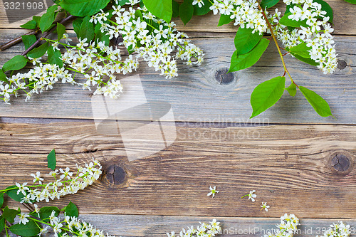 Image of branches of blossom bird cherry on aged boards antique table