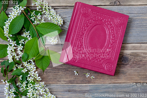 Image of Blossoming bird-cherry and vintage book