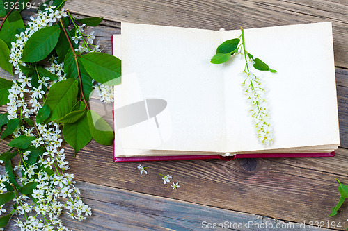 Image of open book with bird-cherry branches