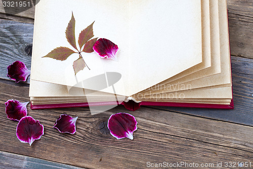 Image of open book with herbarium leaves