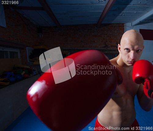 Image of young boxer in red gloves