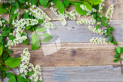 Image of branch of blossom bird cherry on vintage boards of antique table