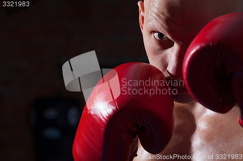 Image of boxer with red gloves