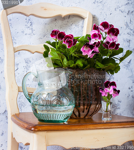 Image of geranium and a jug of water