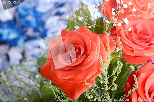 Image of A close up macro shot of a red rose