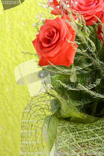 Image of A close up macro shot of a red rose