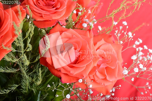 Image of bouquet of blossoming dark red roses in vase, close up flower