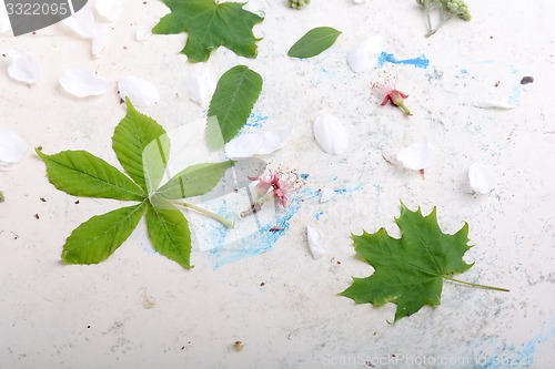 Image of Abstract floral background in vintage style. leaves on old white background
