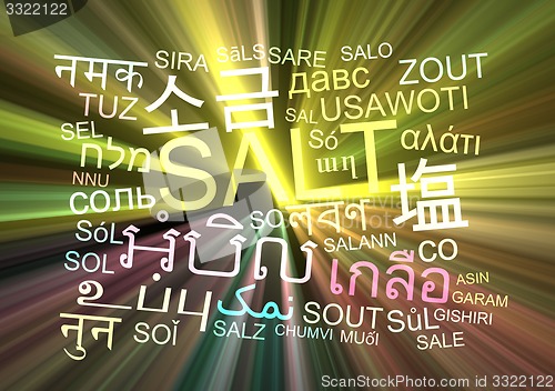 Image of Salt multilanguage wordcloud background concept glowing